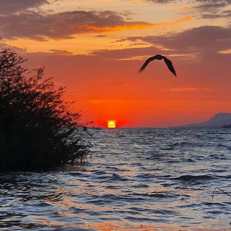 Victoria Sands Lodge Mbita Dış mekan fotoğraf